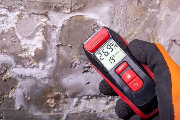 Best Professional Mold Removal  in Winter Gardens, CA