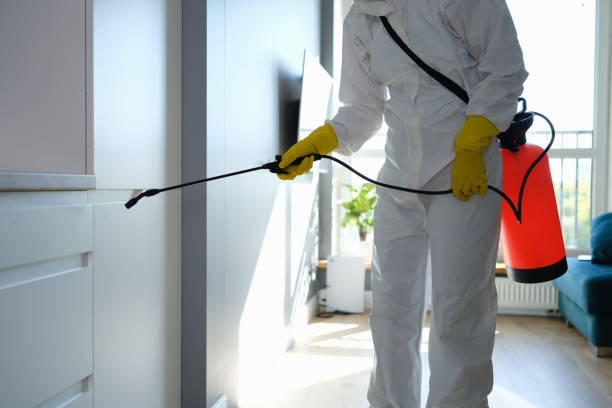 Best Black Mold Removal  in Winter Gardens, CA