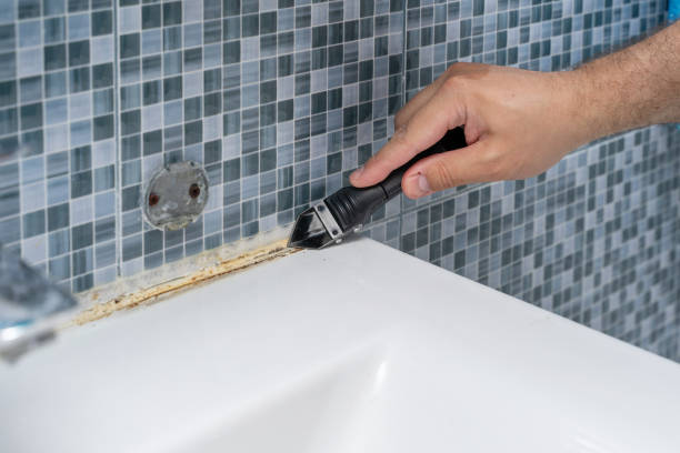 Best Local Mold Removal Service  in Winter Gardens, CA