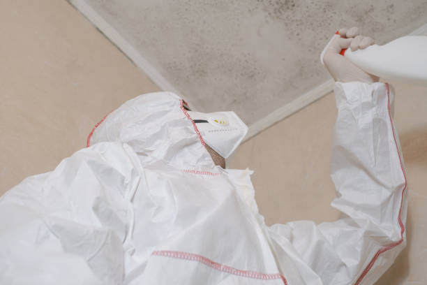 Best Residential Mold Removal  in Winter Gardens, CA